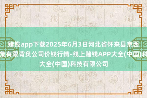 赌钱app下载2025年6月3日河北省怀来县京西果菜批发市集有限背负公司价钱行情-线上赌钱APP大全(中国)科技有限公司